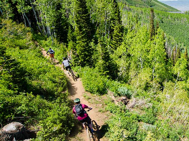 Mountain Bike Group Rentals from jans.com in Park City, UT