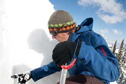 AIARE Pro Courses