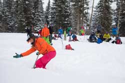 AIARE Avalanche Courses