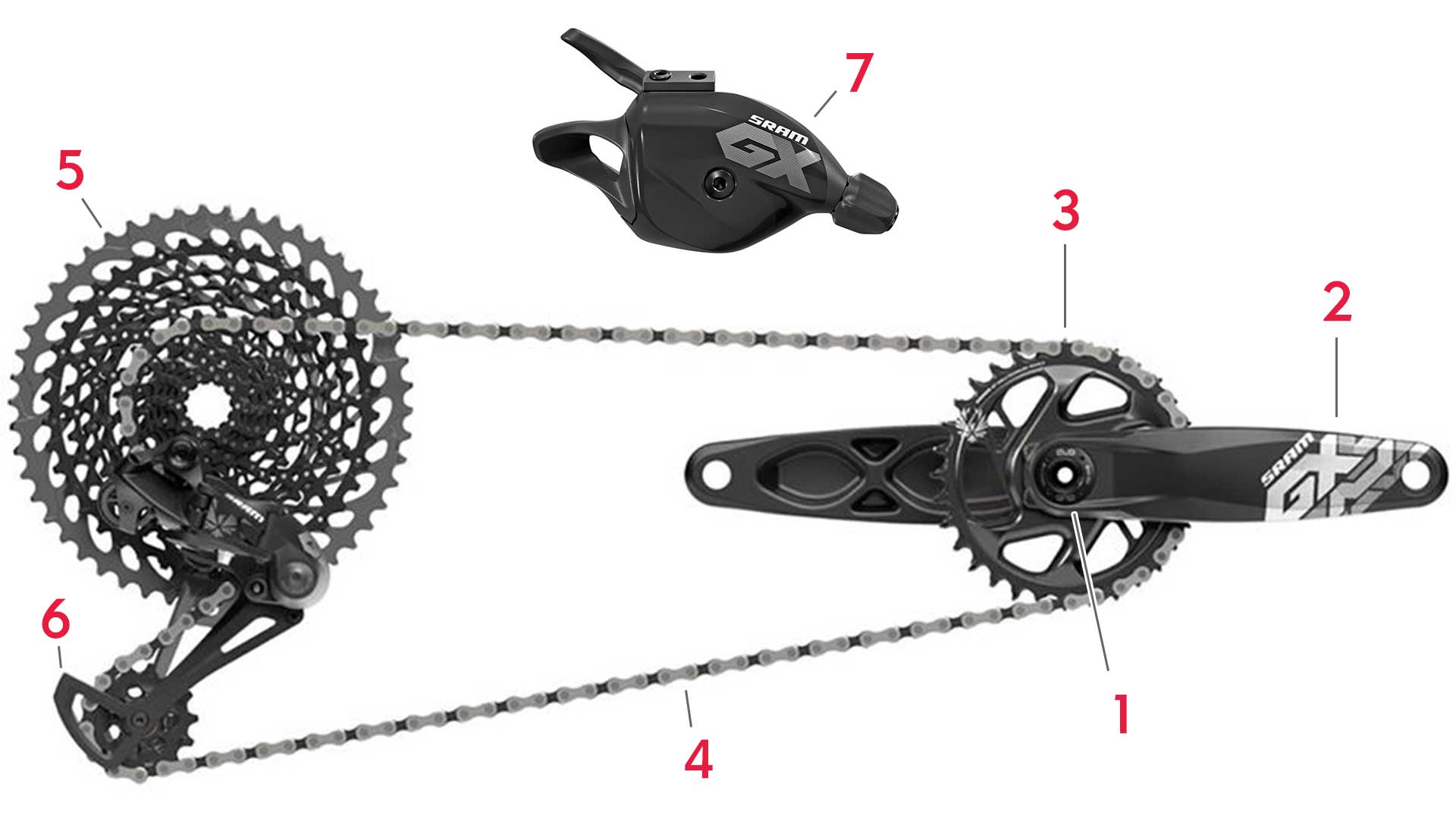 Drivetrain Anatomy