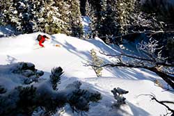 Backcountry Ski Experts