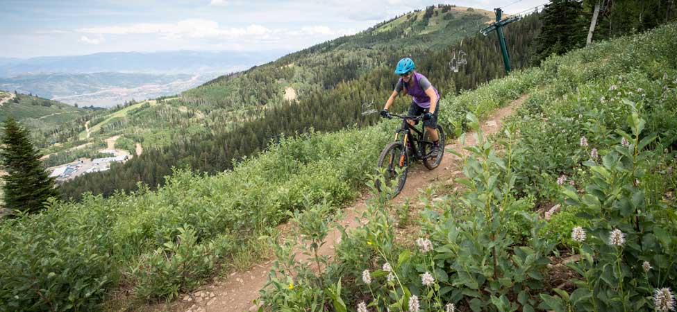 dappled sunlight falls on a mountain biker who leans into a corner