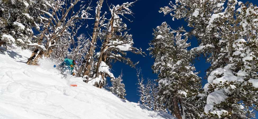 Skier slashes a powder turn at Solitude Mountain Resort.