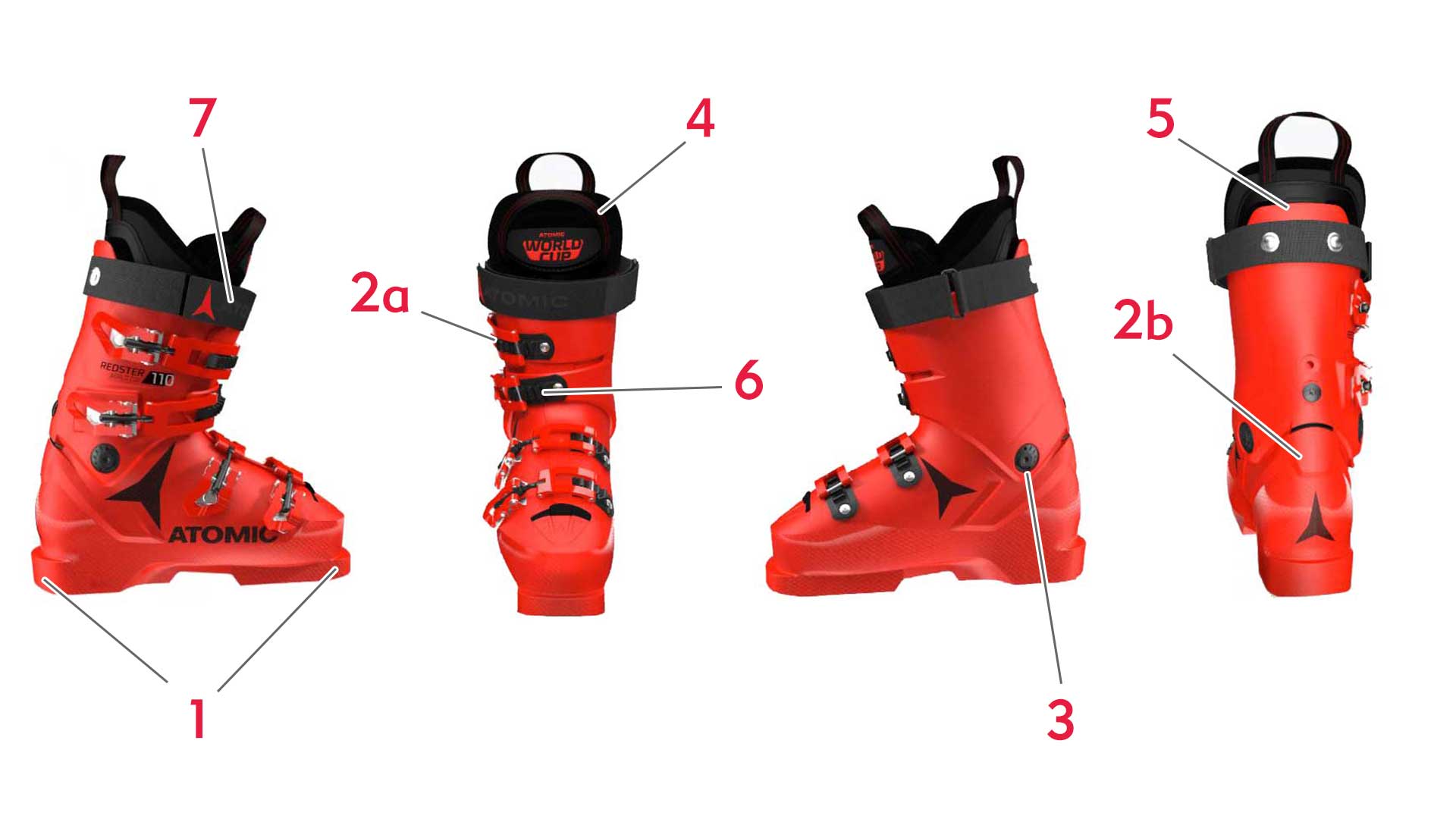 Alpine Ski Boot Diagram