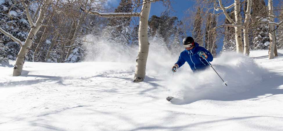 Jans Expert Jack Walzer finds fresh snow in the trees at Deer Valley Resort in Park City, Utah.