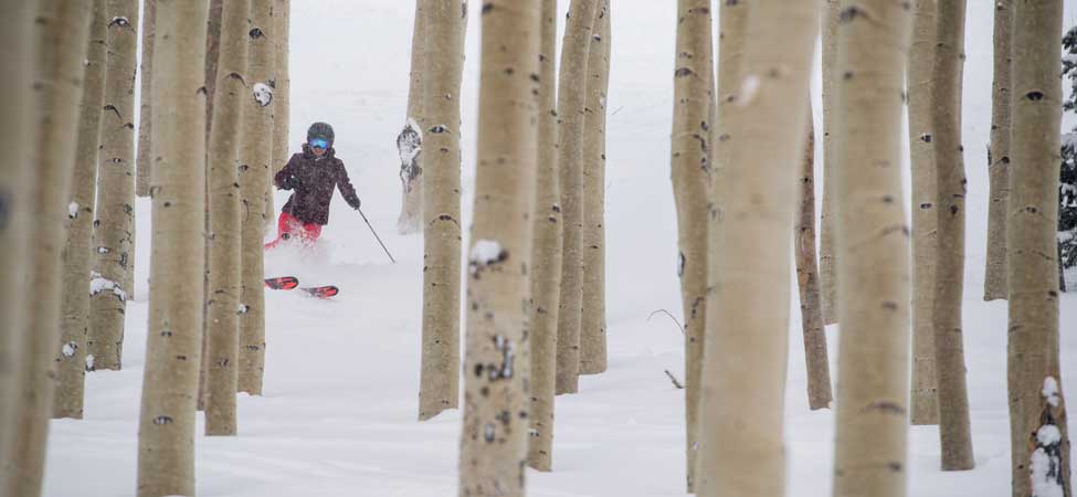 Kendall Fischer skis through the aspens at Deer Valley Resort in Park City, Utah.