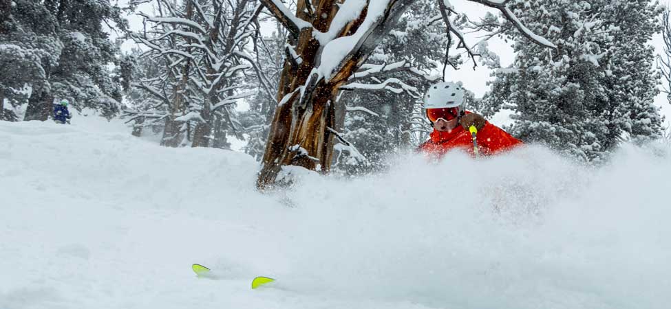 Skier makes a turn in powder at Solitude Mountain Resort in Utah.