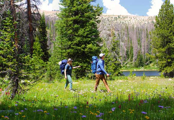 Two hikers walk through a meadow with wildflowers next to a lake in the Uinta Mountains, Utah.