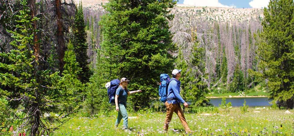 Two hikers walk through a meadow with wildflowers next to a lake in the Uinta Mountains, Utah.