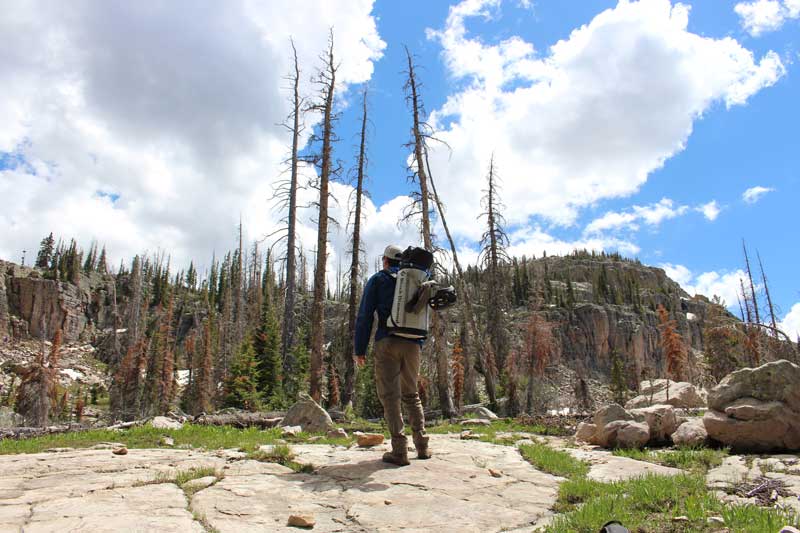 Jans expert looks up at the climbing wall while creating a plan of approach. Uinta Mountains, Utah. 