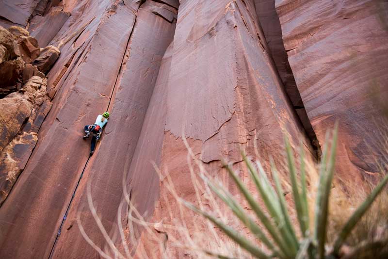 Jans expert climbs a splitter sandstone crack in Utah. 