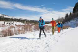 Guided Cross Country Ski Tours