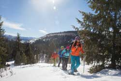 Guided Snowshoe Tours