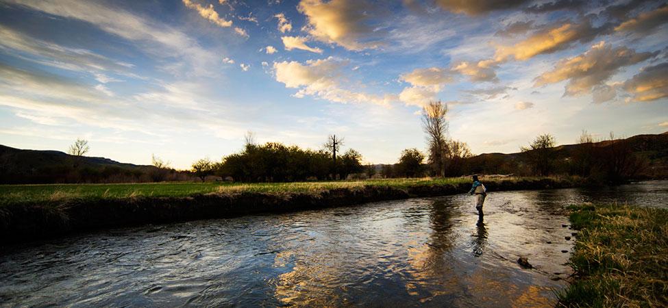 Fly Fishing Weber River Utah: Ultimate Guide to Trophy Trout Spots