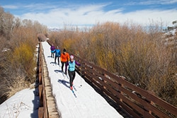 Guided Local Nordic Ski Tour