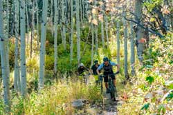 Jans mountain bike guide leads a mountain bike tour in Park City, Utah.