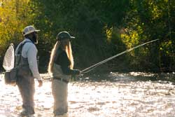 Guided Fly Fishing Trips