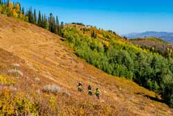 Guided Mountain Bike Tours