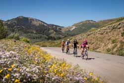 Guided Road Bike Tours