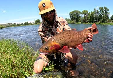 Jans guide, James Cummings, poses with a large cutthroat trout caught in a river near Park City, UT