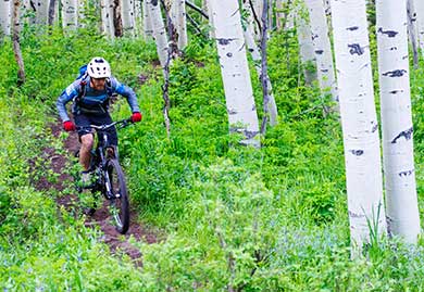 Jans expert Stuart Johnson mountain bikes through a sea of green in Park City, Utah.