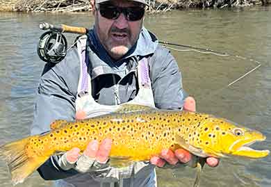 Jans fly fishing guide, Tom White, holding a large brown trout caught in a river near Park City, UT