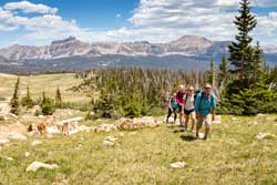 Jans hiking guide leads a tour in the Uinta Mountains near Park City, Utah.
