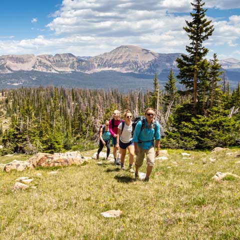 Jans hiking guide leads a tour in the Uinta Mountains near Park City, Utah.