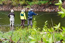 Fly Fishing Lessons