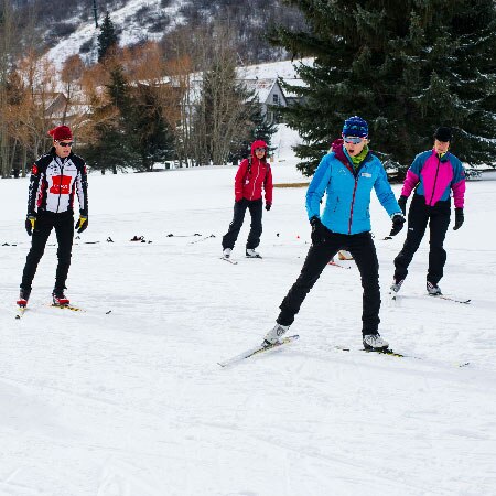 Group Nordic Skate