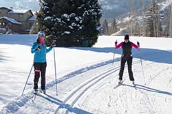 Private Individual or Group Cross Country Skate Lesson