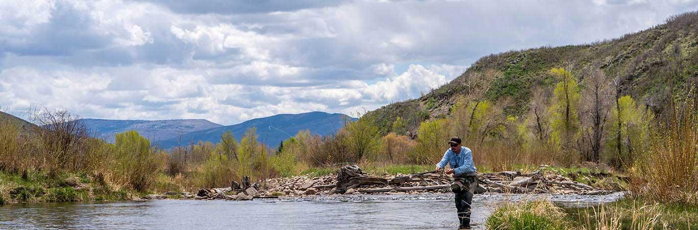 An angler casting to rising fish on the Middle Provo River in Heber City, Utah.