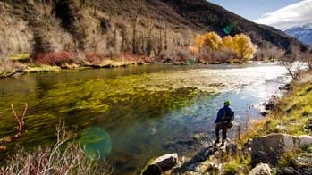 Fly fishing in Utah