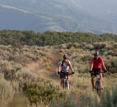 Long Willow Loop