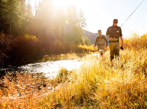 Guided Fly Fishing Trips