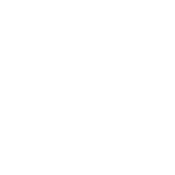 Jans White Icon