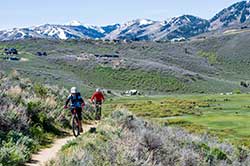 Mountain Biking 201