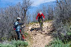 Mountain Biking 301
