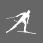 jans.com nordic skiing icon