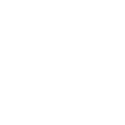 Jans White Snowshoe Icon